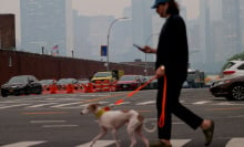 A man walks his dog as air quality remains poor in New York City, United States on June 6, 2023. New York City has issued a health advisory for Tuesday as smoke from wildfires in Canada impacting the city's air quality.