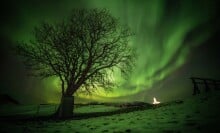 the northern lights in the sky