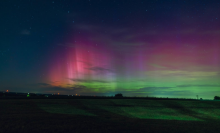 Wisconsin's night sky is glowing with the Northern Lights, as a geomagnetic storm is bringing vibrant pink and green colors, stealing the spotlight from the Perseus meteor shower.