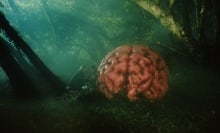 Two people crouch next to a giant brain in the woods in "Rumours."