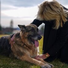 Champ and Major Biden, our new First Dogs, have moved into the White House