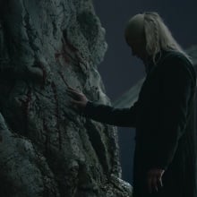 Daemon Targaryen places his hand on the white weirwood at Harrenhal.