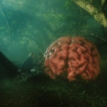 Two people crouch next to a giant brain in the woods in "Rumours."