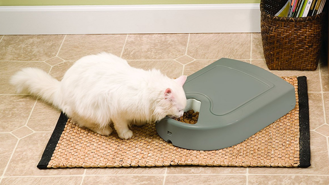 Petsafe automatic feeder with white cat eating