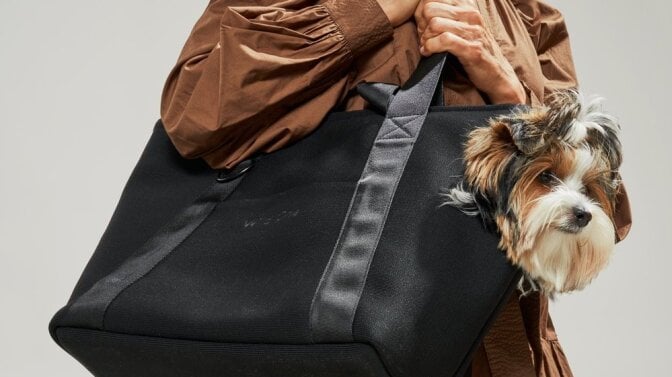 We tried all the dog products from Wild One's latest drop