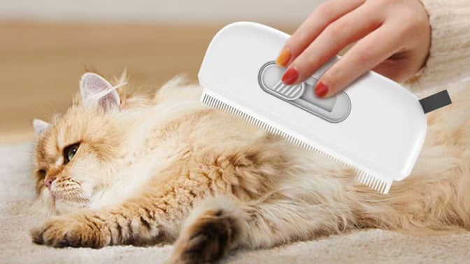 Cat being brushed with white device