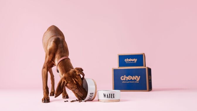 Brown dog eating out of a bowl next to two blue Chewy boxes