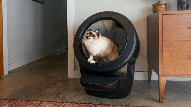 Cat sitting inside black Litter-Robot in room with furniture and rug