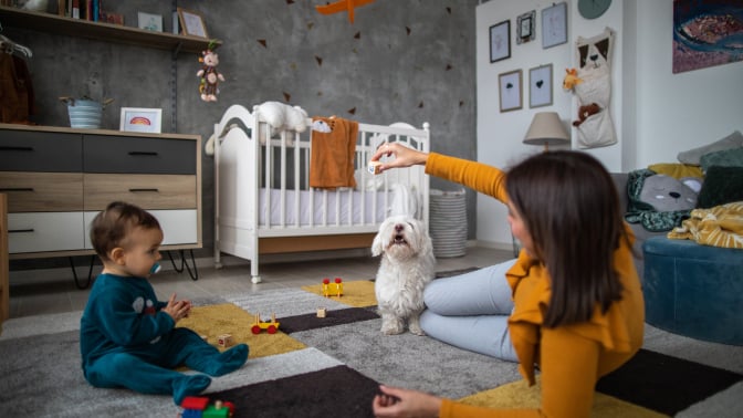 Parent playing with baby and dog in nursery