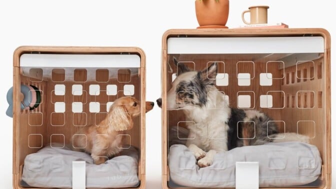 two dogs in crates with beds look at each other through windows in the crate