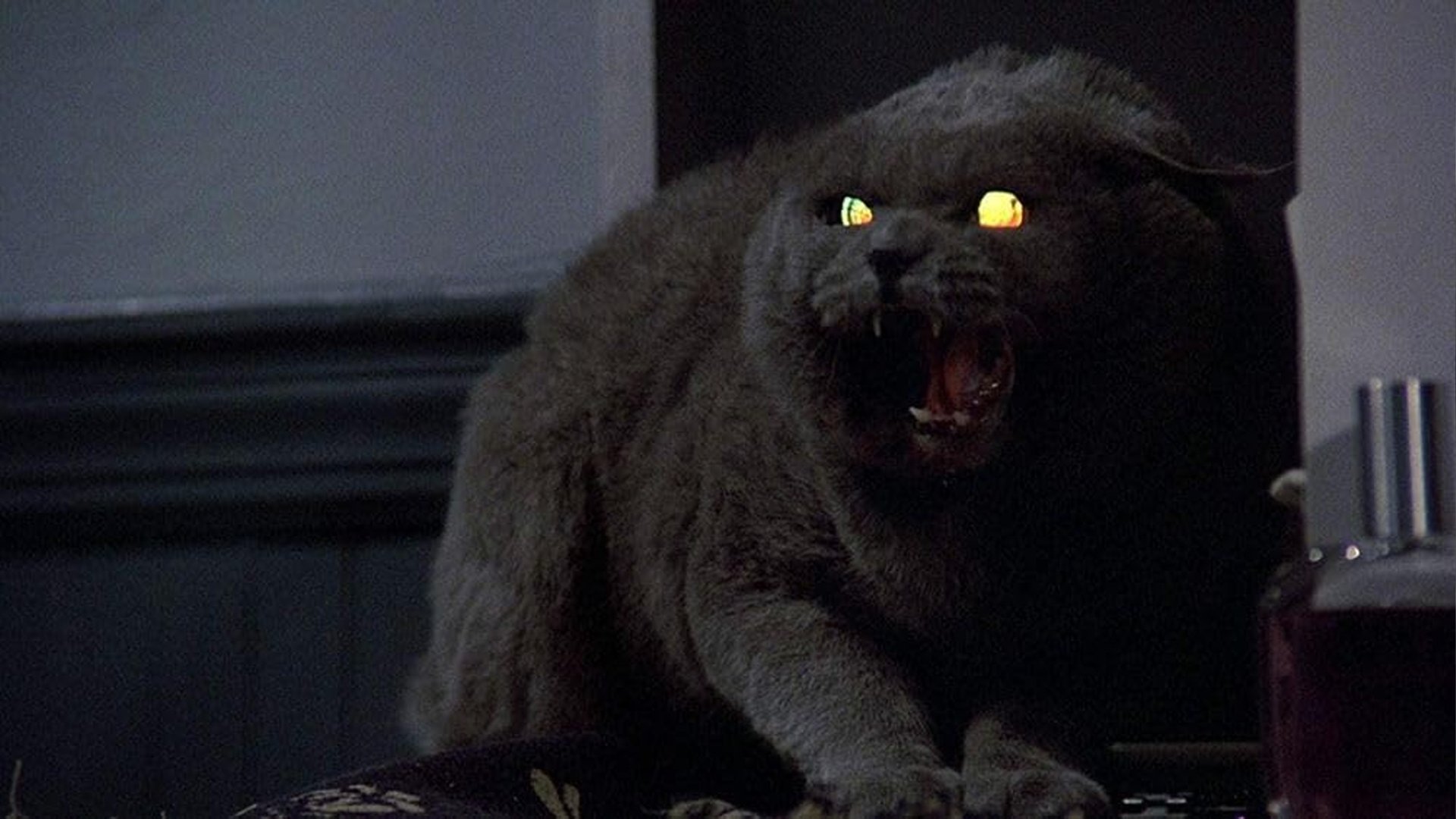 Pet Sematary (1989)