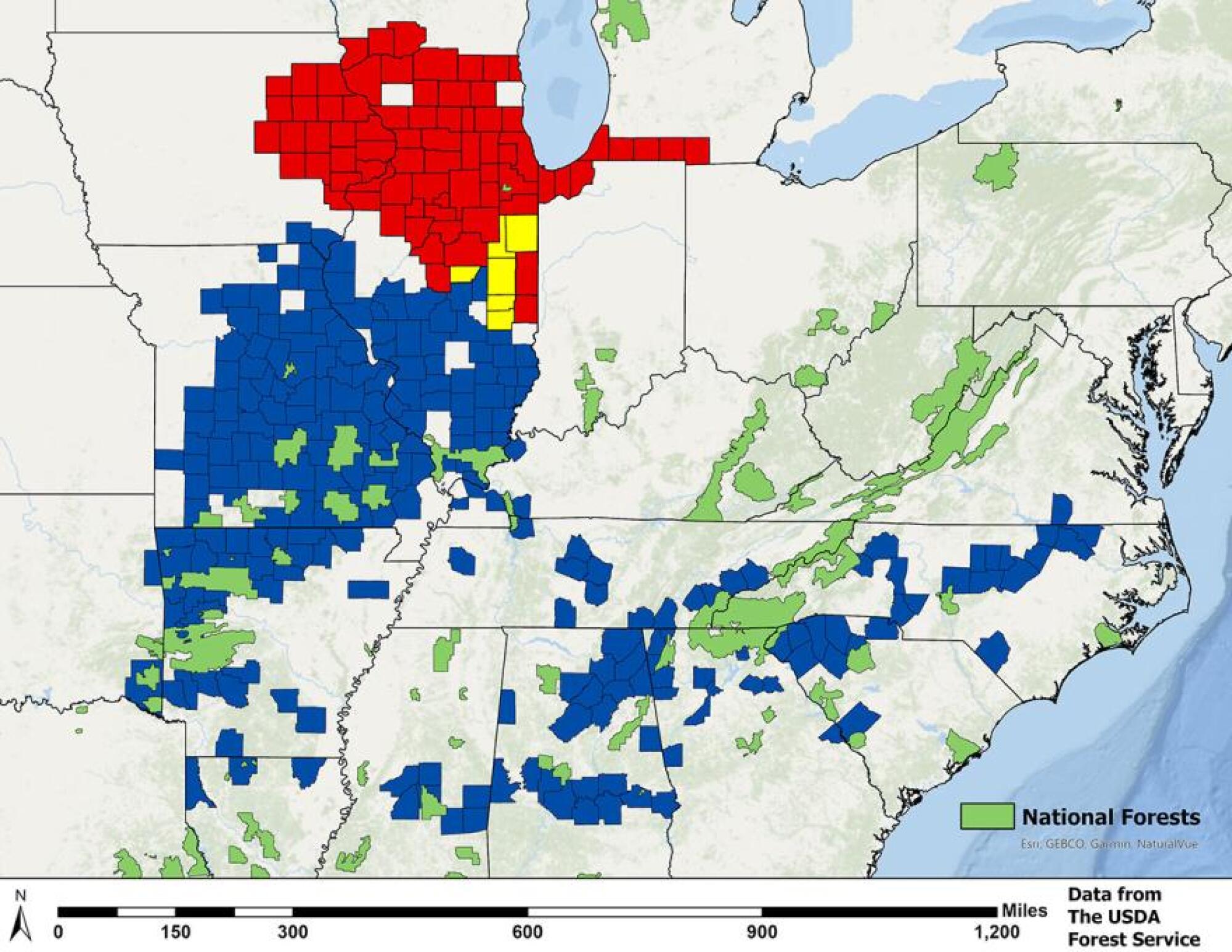 A U.S. Forest Service map showing the 2024 emergence of cicada broods. The red region shows Brood XIII; the blue shows Brood XIX; and the yellow shows where their emergences overlap.  