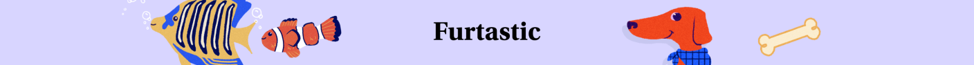 Furtastic Series Banner