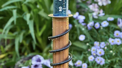 Copper Rain Gauge in a garden.